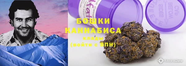 прущие крисы Арсеньев