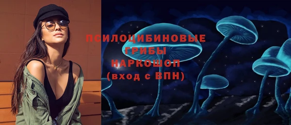 прущие крисы Арсеньев