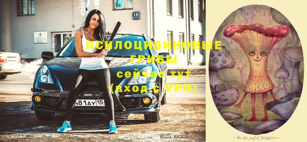 альфа пвп Армянск