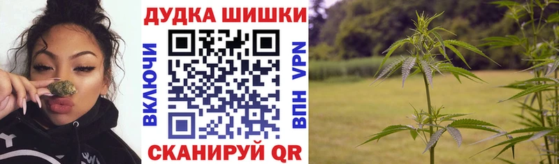 Конопля Amnesia  мега как войти  Аркадак 